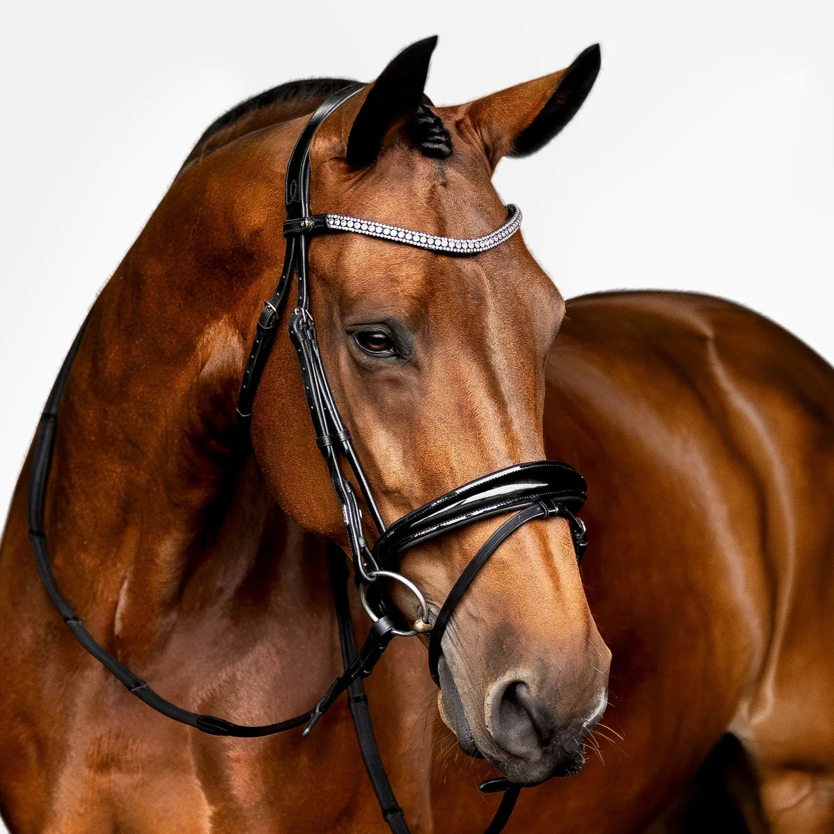 Lumiere Amie Flat Leather Bridle Hanoverian