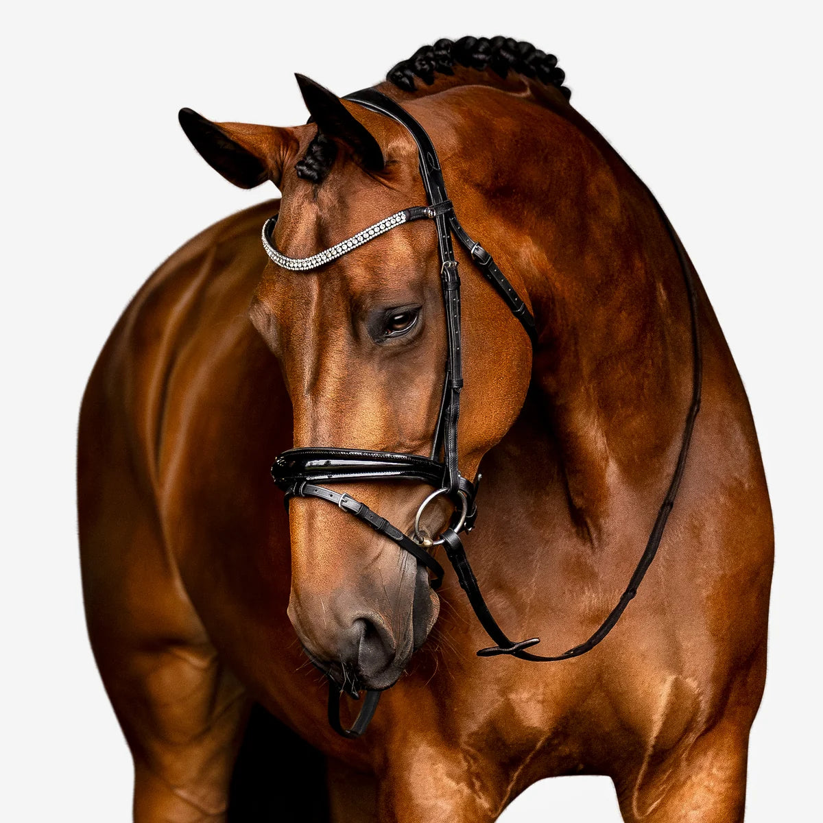 Lumiere Amie Flat Leather Bridle Hanoverian