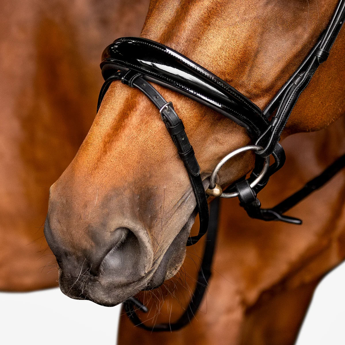 Lumiere Amie Flat Leather Bridle Hanoverian