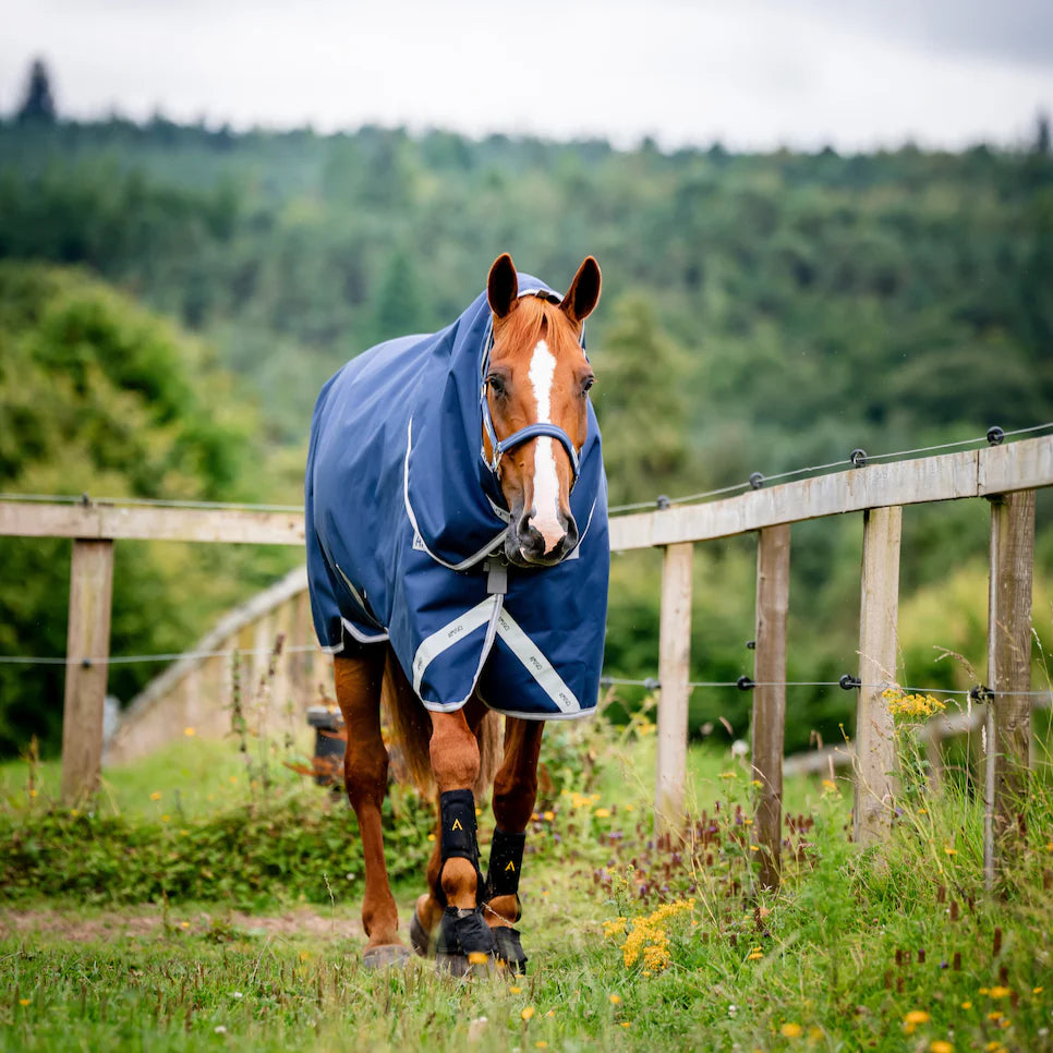 Amigo 1200D Plus Turnout 100g | Horse Supplies - Summer Rug | Saddleworld Ipswich