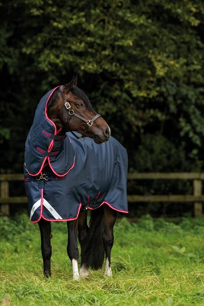 Amigo Bravo 12 Plus Medium | Horse Supplies - Winter Rugs | Saddleworld Ipswich