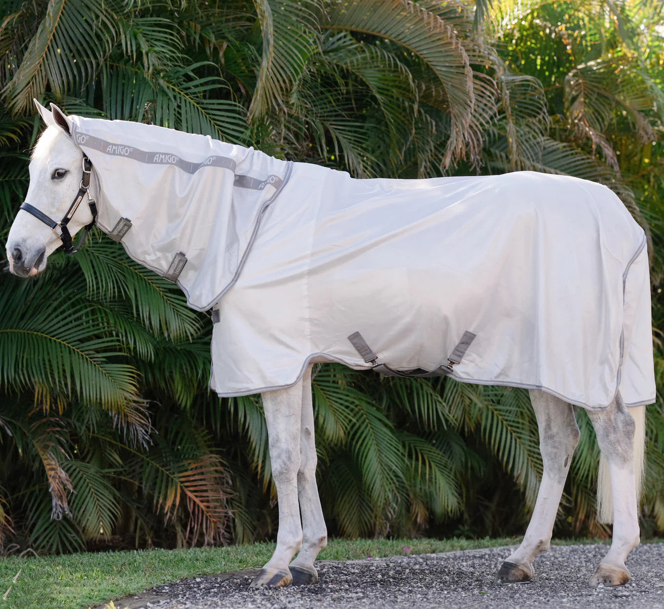 Amigo Integrated Fly Sheet | Horse Supplies - Summer Rugs | Saddleworld Ipswich