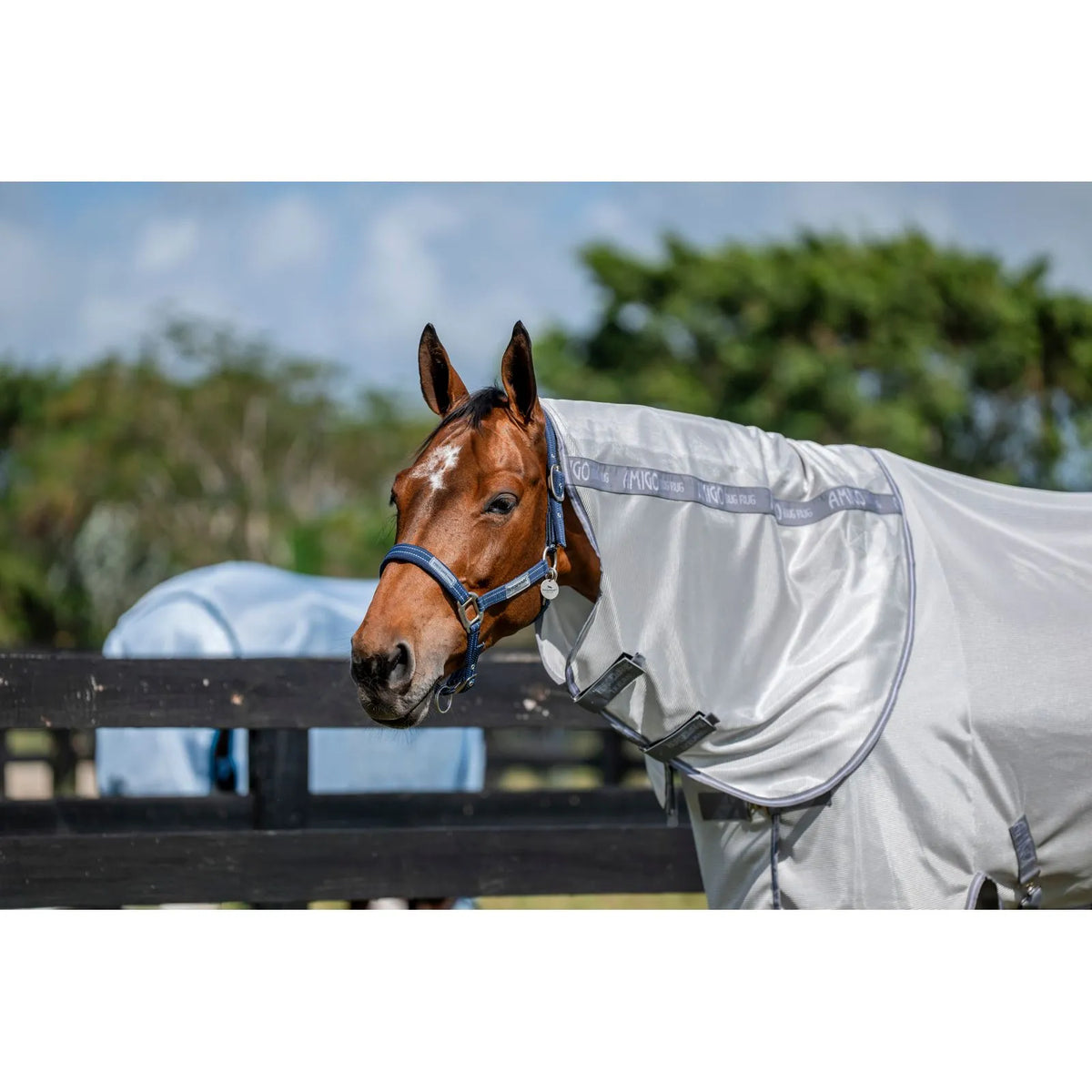 Amigo Rug Plus | Horse Supplies - Summer Rug | Saddleworld Ipswich