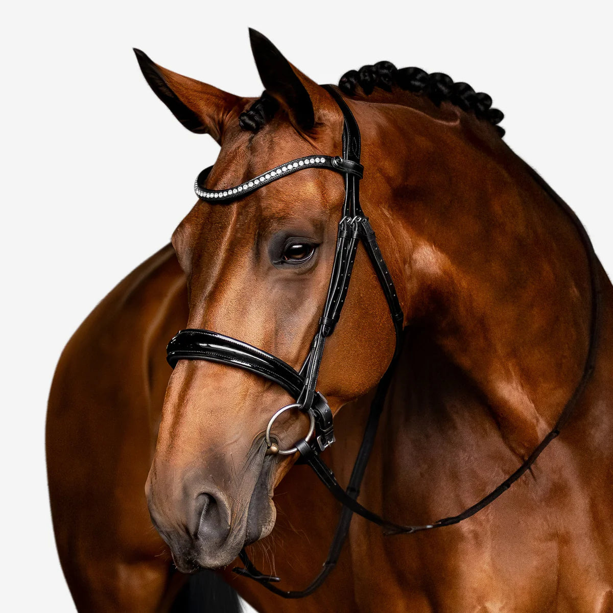 Lumiere Aurelie Flat Leather Bridle Cavesson