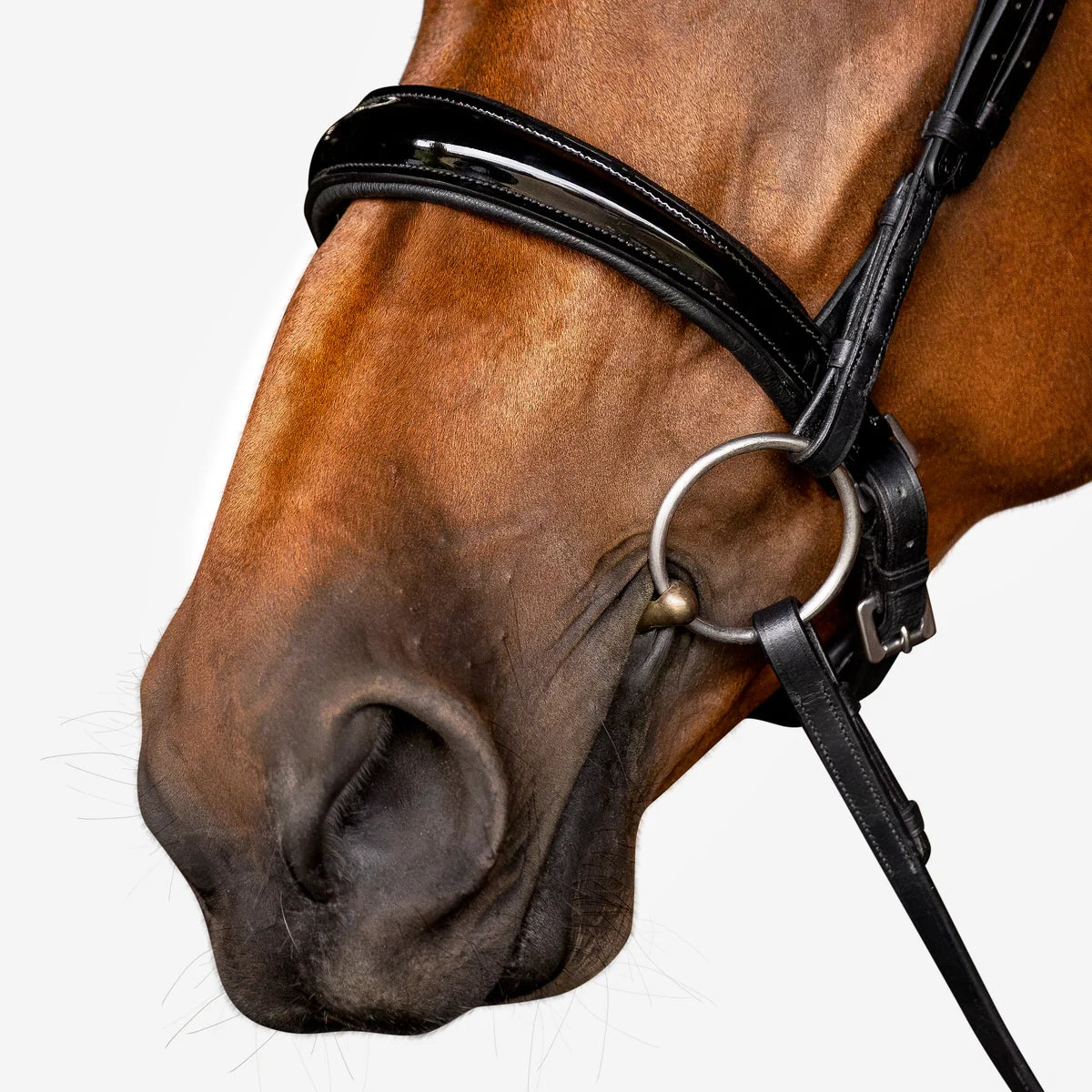 Lumiere Aurelie Flat Leather Bridle Cavesson