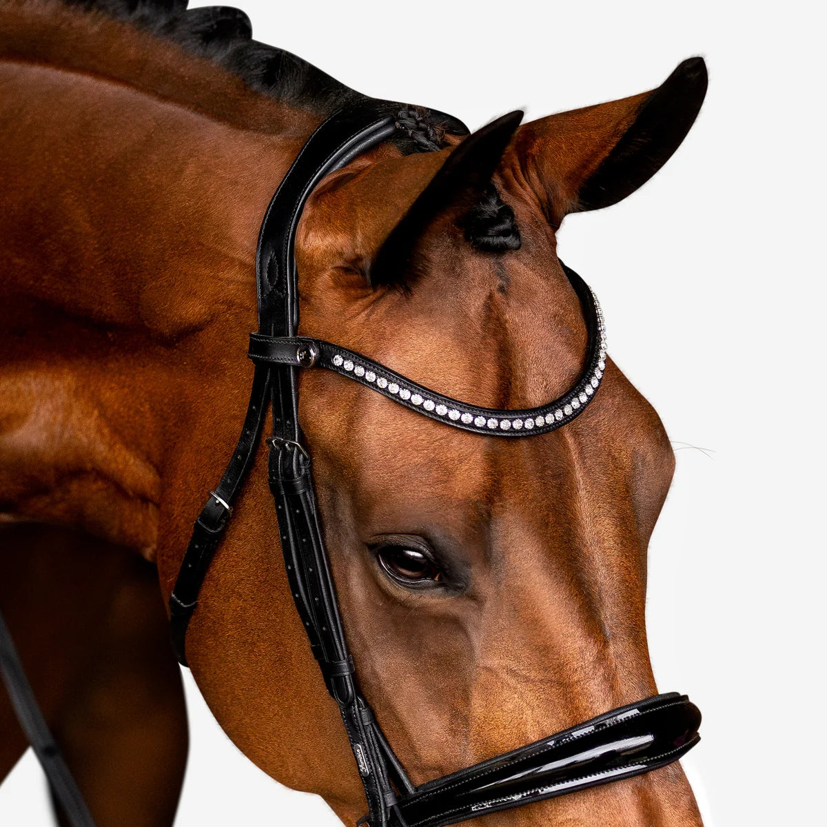 Lumiere Aurelie Flat Leather Bridle Cavesson