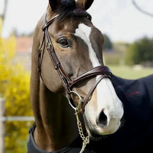 Dy'On Anatomic Flash Noseband Bridle