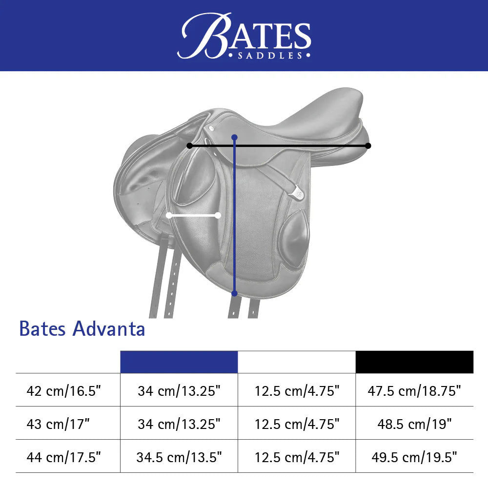 Bates Advanta CAIR