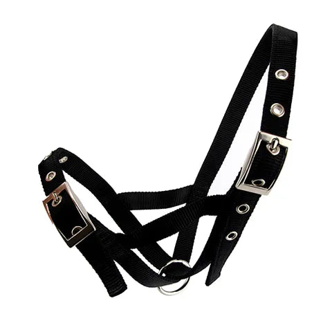 Bainbridge Cattle Halter Webbing | Stable Supplies - Cattle Halter | Saddleworld Ipswich