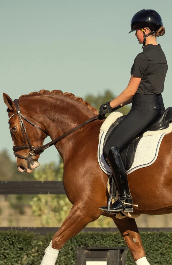 Bare Sculpt Hybrid Riding Breeches