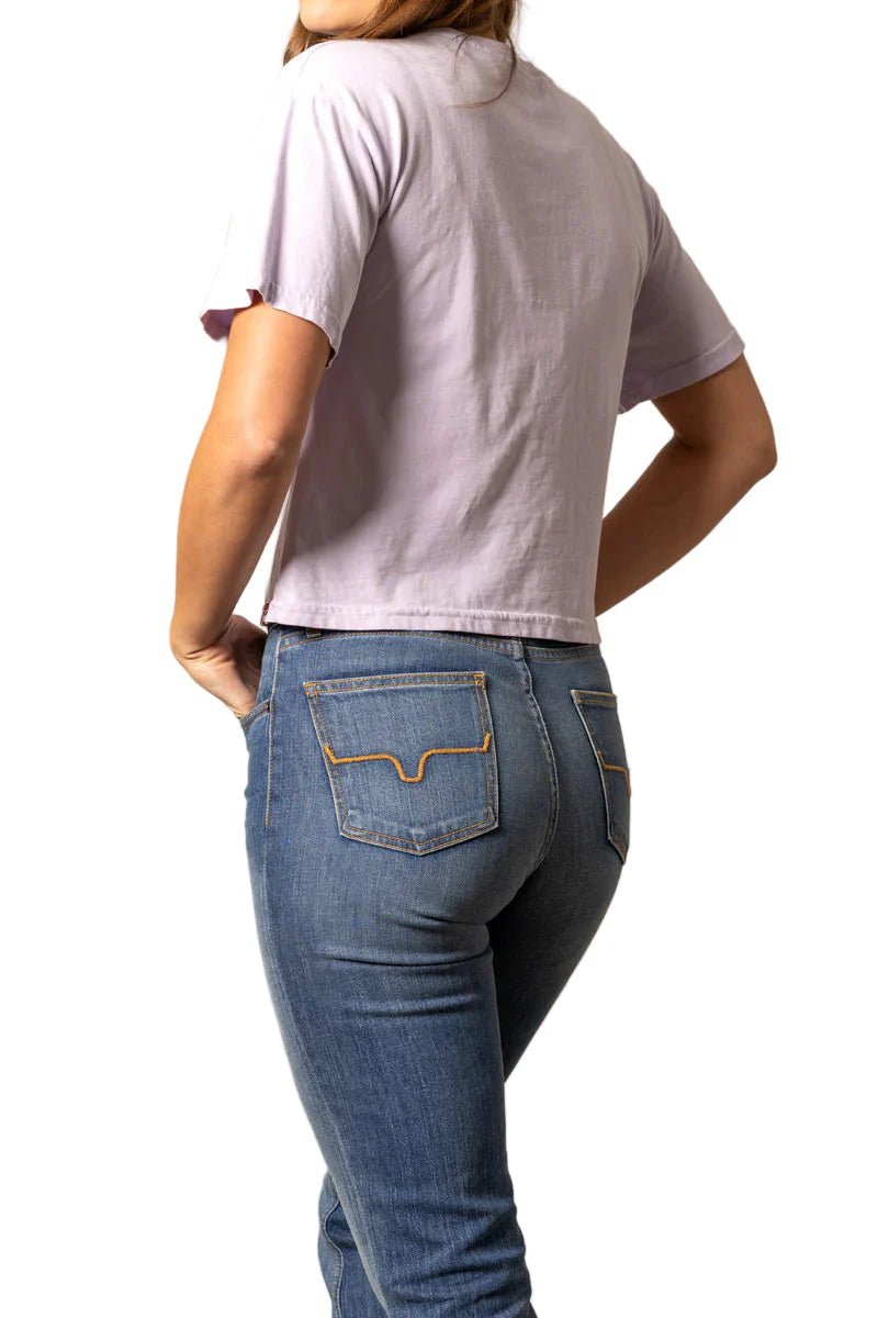 Kimes Ranch Bison Skull