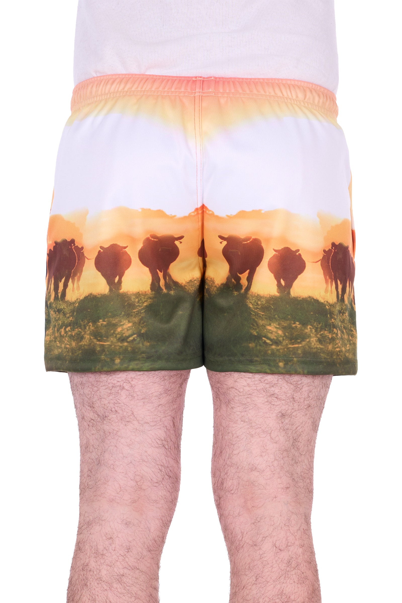 Bullzye Mens Orion Sports Short