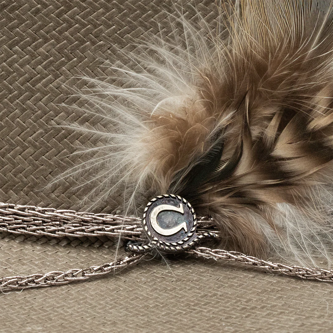 Charlie 1 Horse Lainey Wilson Straw Hold My Halo Grey