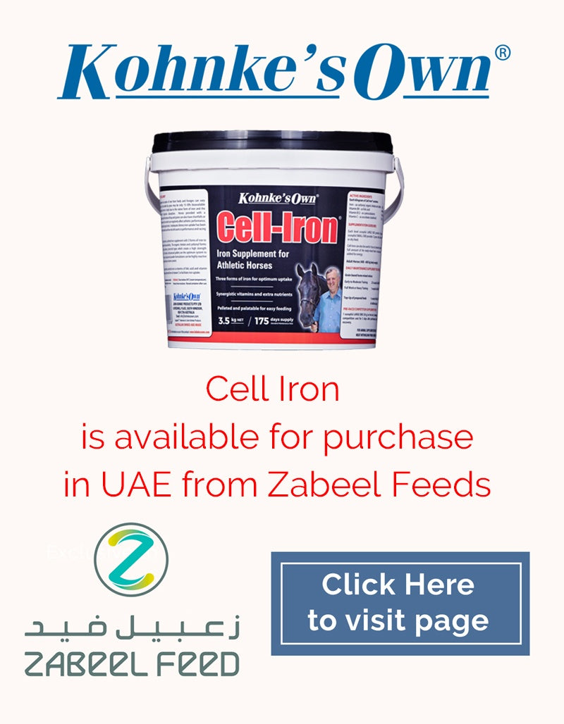 Kohnkes Own Cell Iron