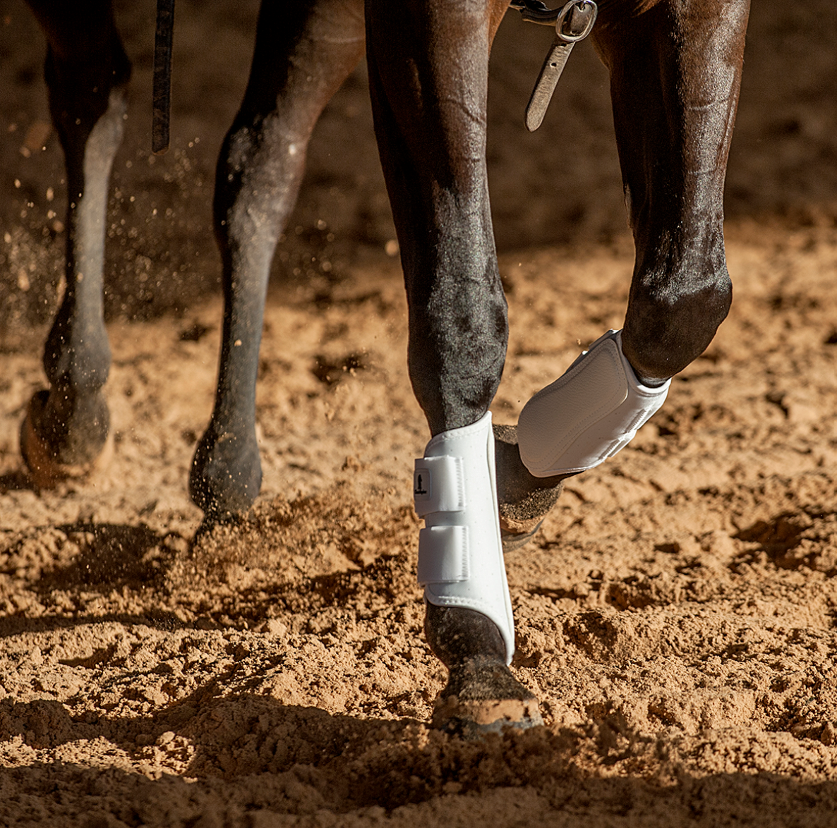 Classic Equine Air Wave Classic Splint Boot | Horse Supplies - Horse Boots | Saddleworld Ipswich