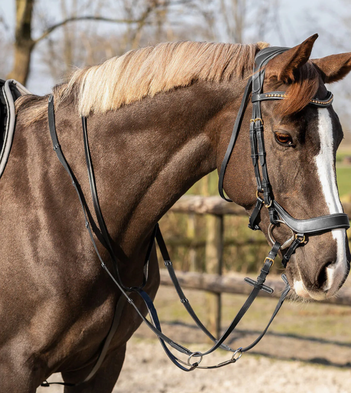 QHP Martingale Basic Pro