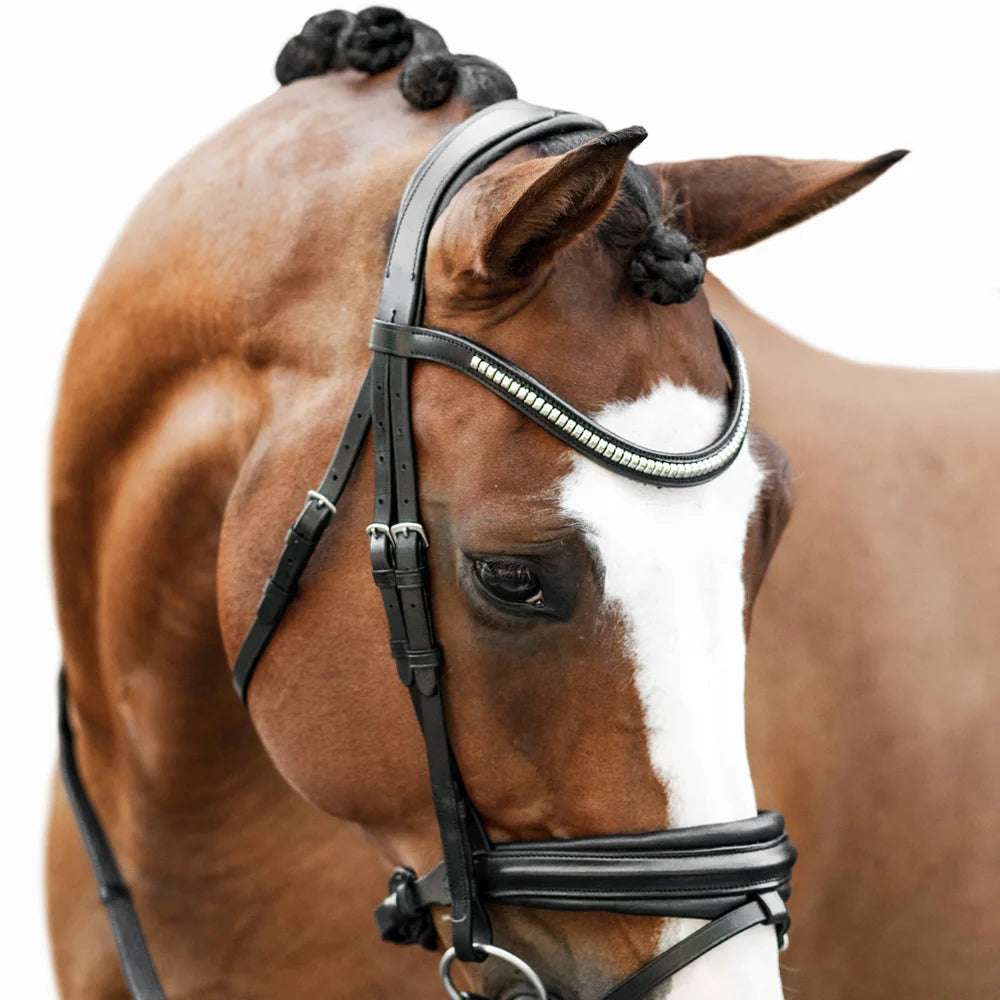 Lumiere Melodie Classic Bridle