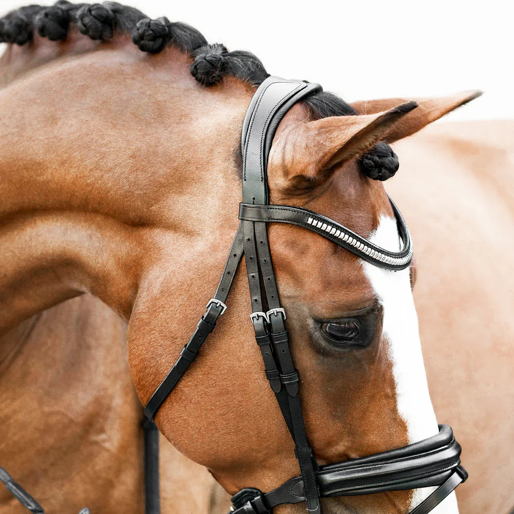 Lumiere Melodie Classic Bridle | Horse Supplies - English Bridle | Saddleworld Ipswich
