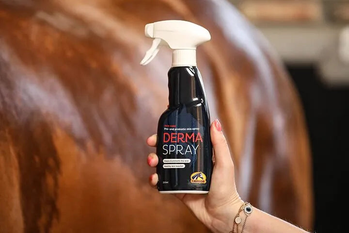 Cavalor Derma Spray 250ml