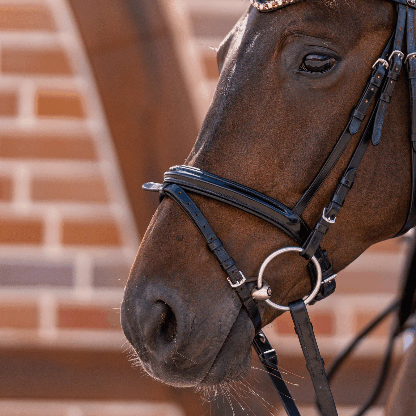 Sprenger Loose Ring Snaffle Single Joint 16Mm Copper With 70Mm Ss Rings