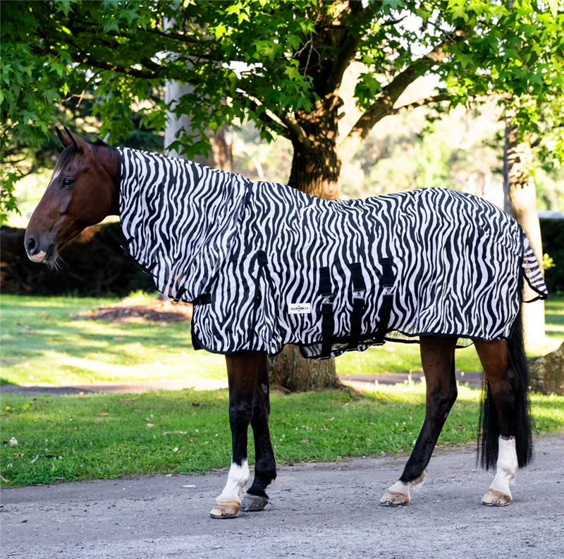EP Deluxe Zebra Mesh Combo | Horse Supplies - Summer Rug | Saddleworld Ipswich