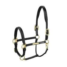 Eskadron Headcollar Leather Elegance | Horse SUpplies - Halter | Saddleworld IPswich