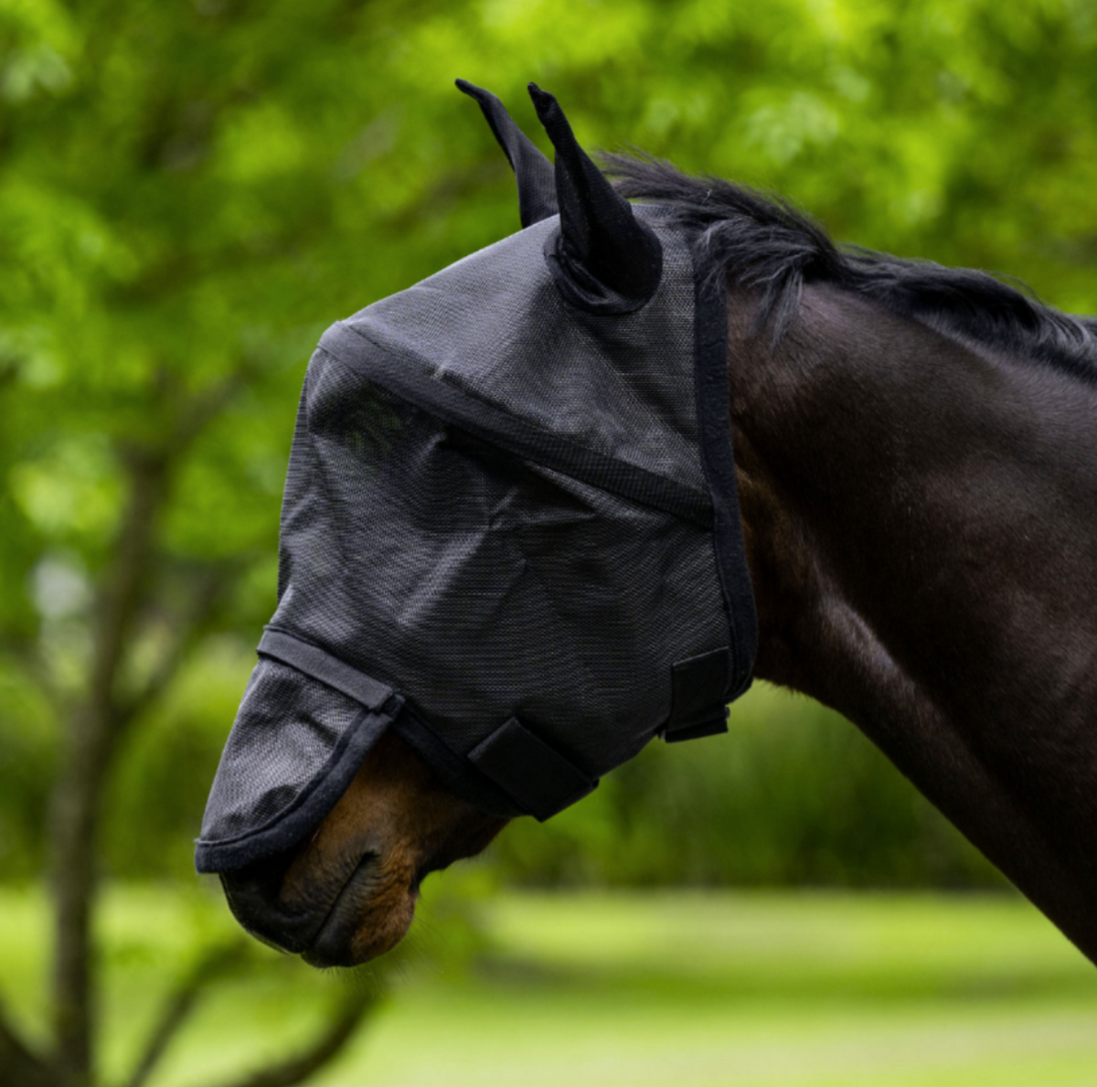 Eureka 3D Fly Mask | Horse Supplies - Fly Veil | Saddleworld Ipswich