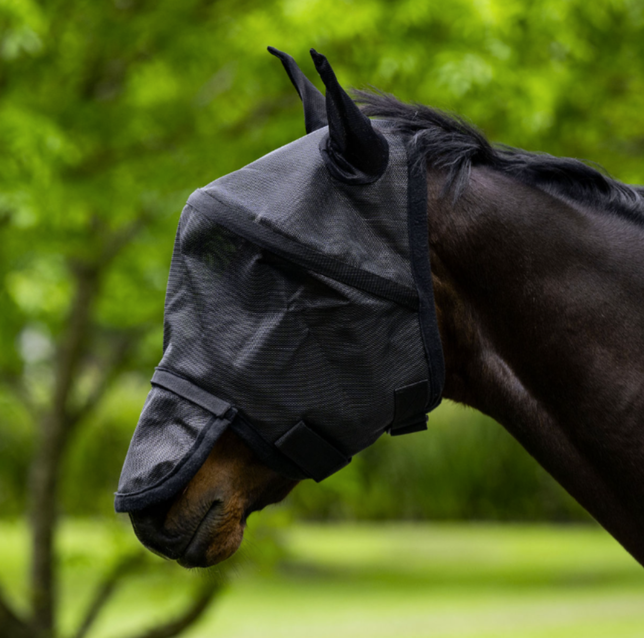 Eureka 3D Fly Mask | Horse Supplies - Fly Veil | Saddleworld Ipswich