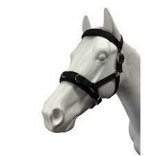 Eureka Nylon Lunge Cavesson | Horse Supplies - Lunge | Saddleworld Ipswich