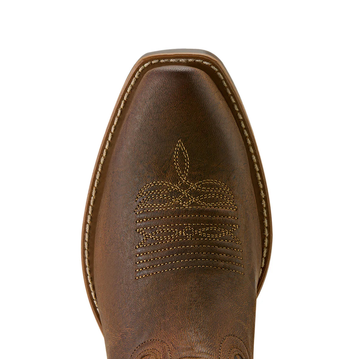 Ariat Wms Beaumont Sassy Brown/Gilded Tiger