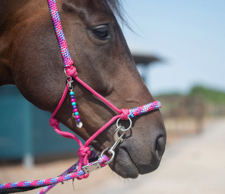 QHP Rope Halter Combi Liberty