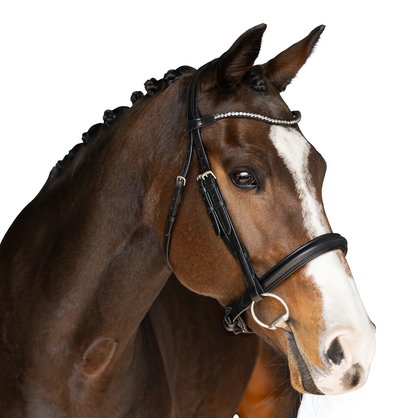 Flexible Fit Premium Black Snaffle Bridle Splendor