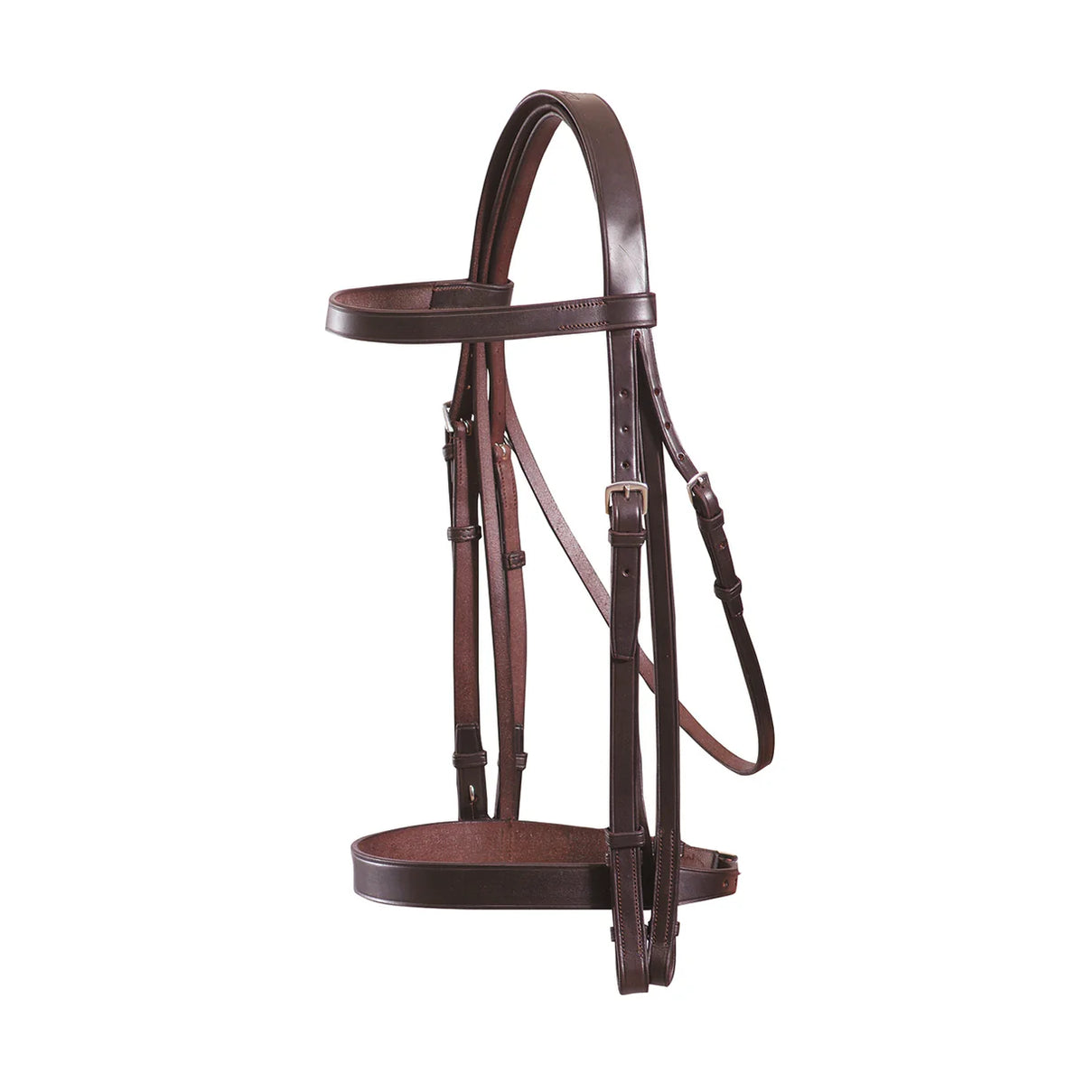 Grainge Elite Show Weymouth