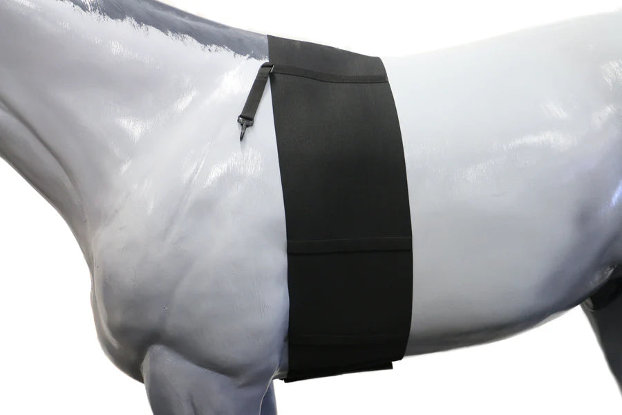 Equi Prene Elastic Belly Bandage Full