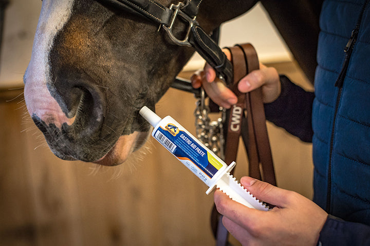 Cavalor Gastro Aid Paste 60g Syringe