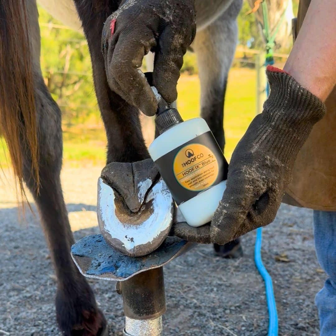 The Hoof Co - Hoof IX Blue Squeezeable Hoof Liquid