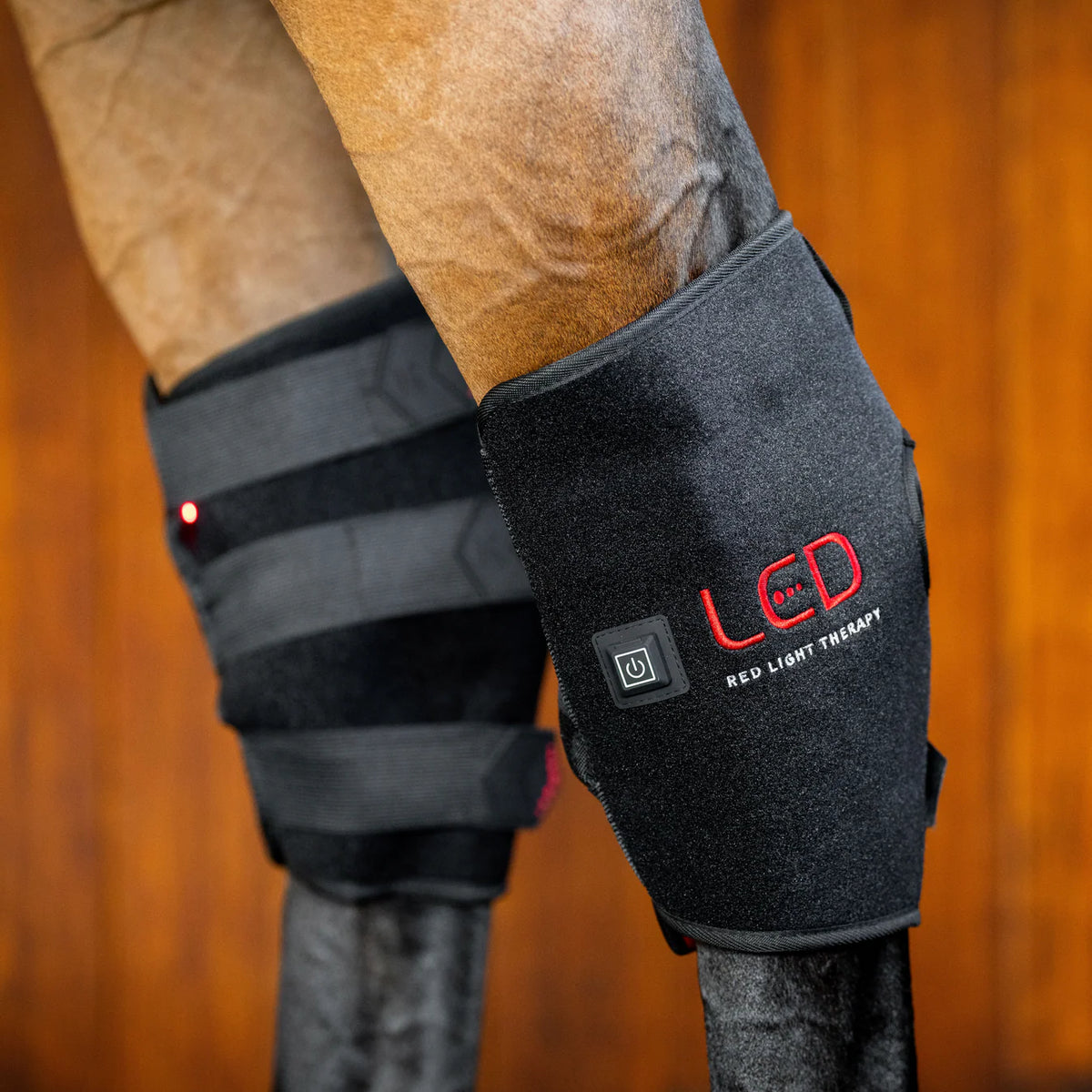 Horseware LED Red Light Therapy Hock Boot | Horse Supplies - Horse Boots | Saddleworld Ipswich
