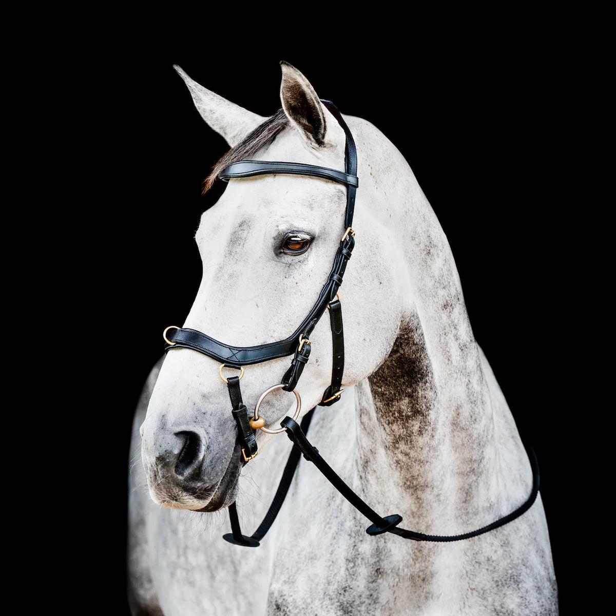 Horseware Micklem 2 Multi Bridle | Horse Supplies - Bridle | Saddleworld Ipswich