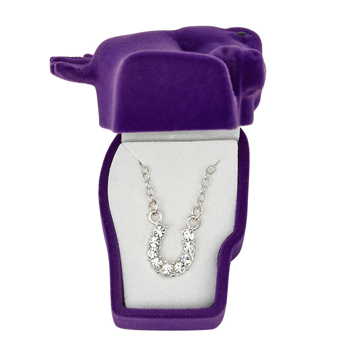 Necklace Clear Rhinestone Horse Shoe