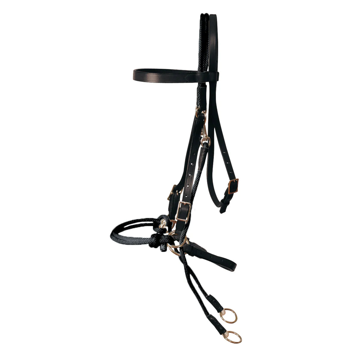 Ammo Bitmore Bridle