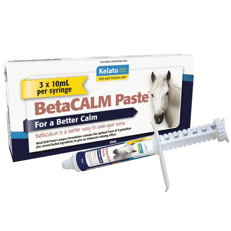 Kelato Betacalm Paste | Stable Supplies - Health | Saddleworld Ipswich