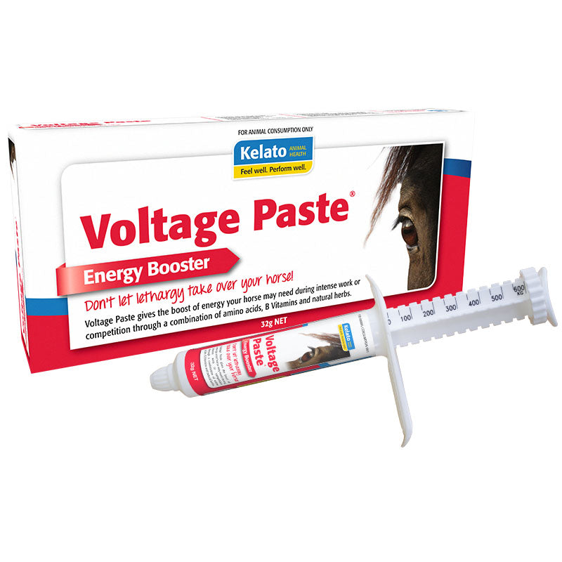 Kelato Voltage Paste 32g | Stable Supplies - Health | Saddleworld Ipswich