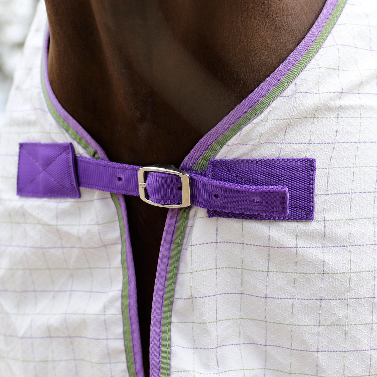 Capriole Light Summer Combo