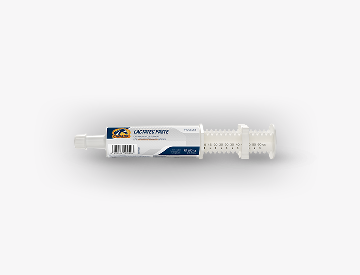 Cavalor Lactatec Paste 60g Syringe