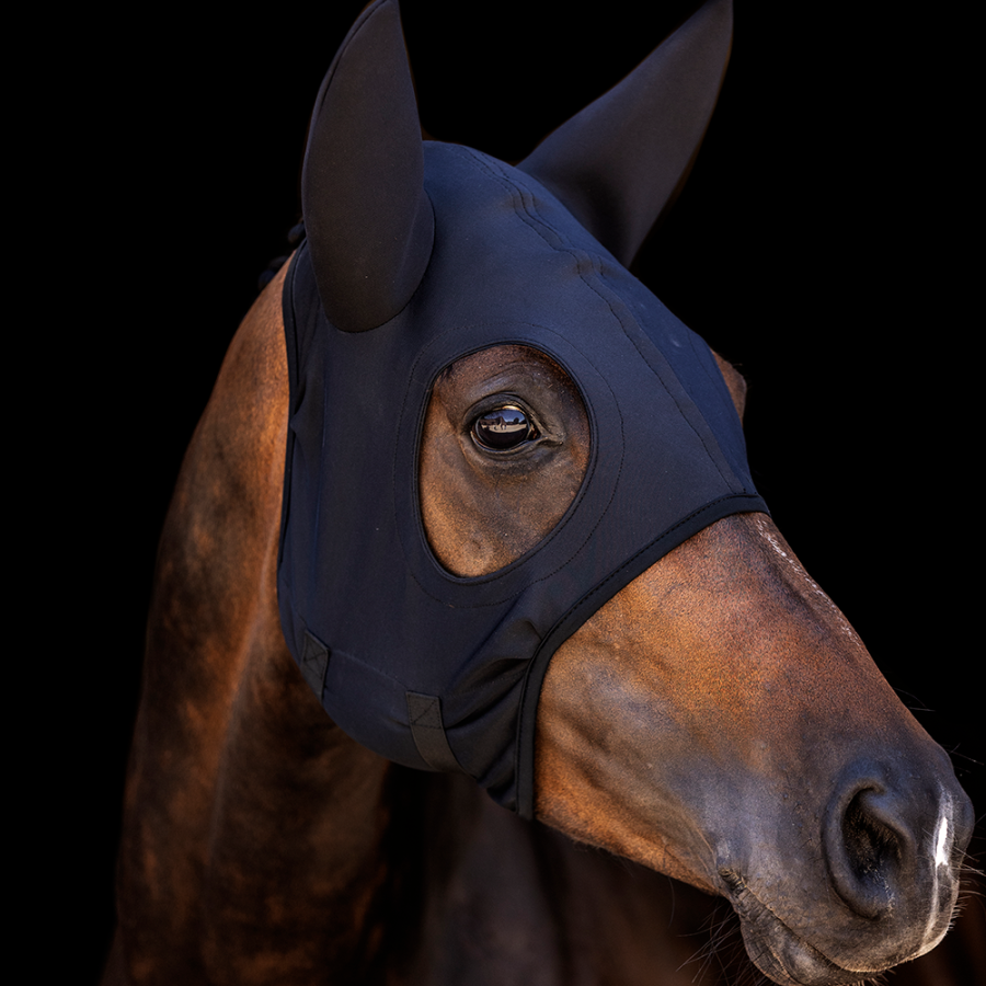Lami Cell Come Best Titanium Hood with Ears | Horse Supplies - Ear Bonnett | Saddleworld Ipswich