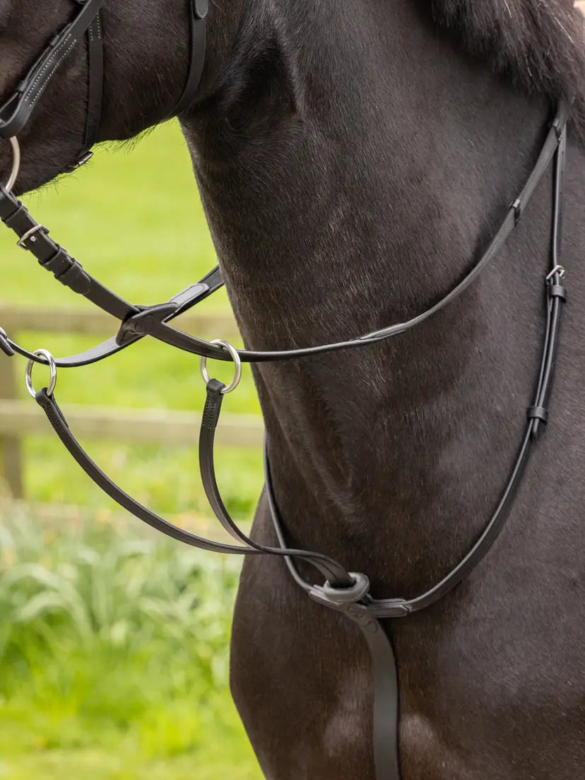 LeMieux Arika Running Martingale | Horse Supplies - Training Aid | Saddleworld Ipswich
