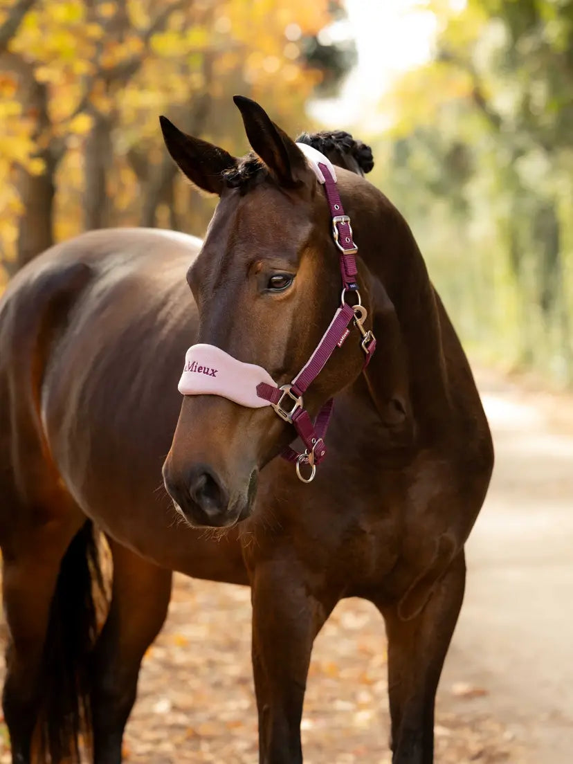 LeMieux Breakaway Vogue Halter and Leadrope | Horse SUpplies - Halter | Saddleworld Ipswich