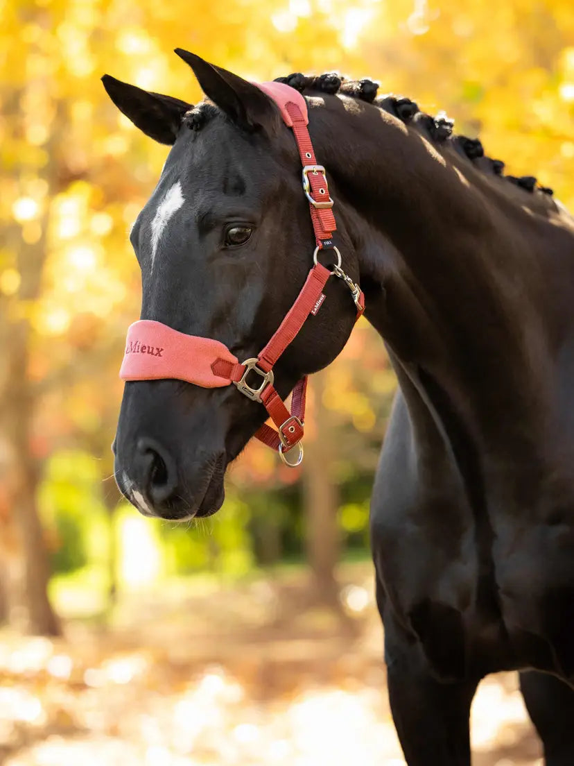 LeMieux Breakaway Vogue Halter and Leadrope | Horse Supplies - Halters | Saddleworld Ipswich