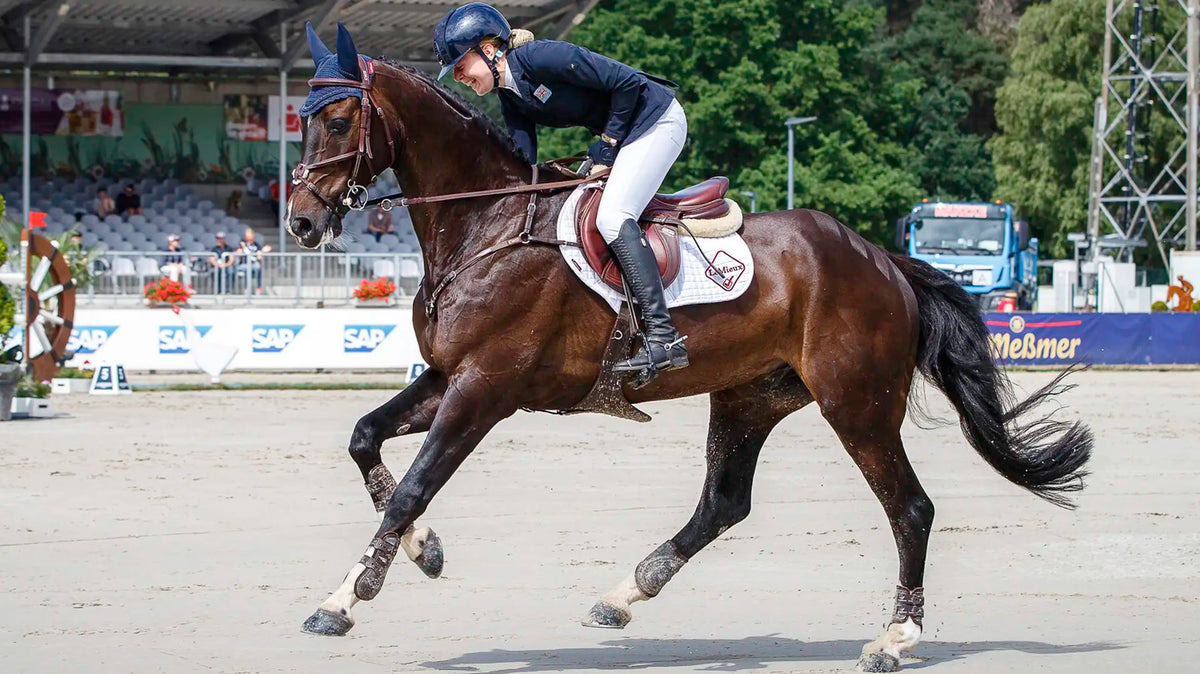 LeMieux Cotton Close Contact Square | Horse Supplies - Saddle CLoth | Saddleworld Ipswich