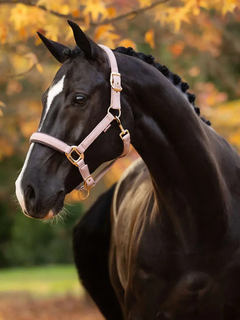 LeMieux Essence Halter